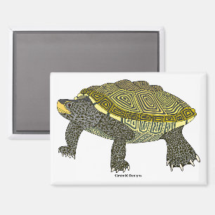 Terrapin (blanc) - Aimant Rectangle
