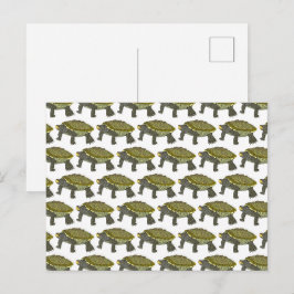 Terrapin (patroon wit) - Ansichtkaart Briefkaart