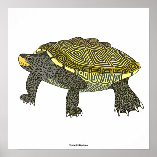 Terrapin (wit) - Poster Print (Voorkant)