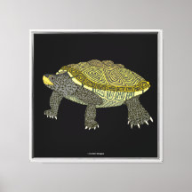 Terrapin (zwart) - Canvasprint