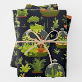 Terrariums en papier de découpage Jeu de 3 (En situation)