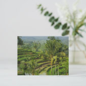 Terras Rijstveld in Bali Briefkaart (Staand voorkant)