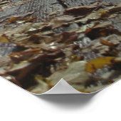 Terrasse Dufferin, Quebec, Canada Poster (Hoek)