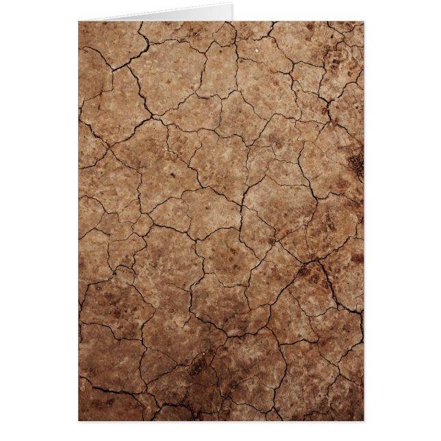 Terre Aride Sèche Fendillée (Devant)