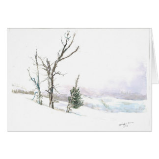 Terre de merveille d'hiver
