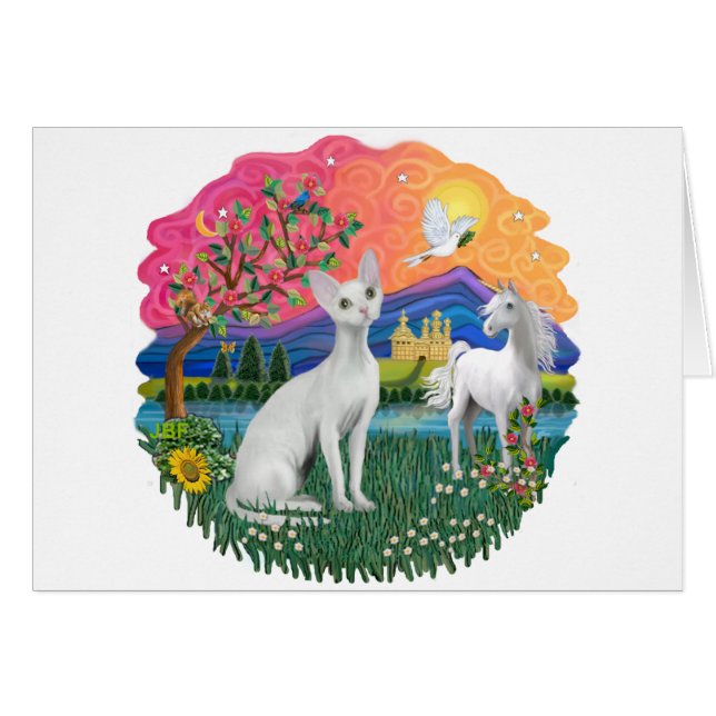 Terre d'Imaginaire (ff) - Devonshire Rex cat (Devant horizontal)