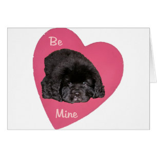 Terre-Neuve Chien Chien Coeur Amoureux
