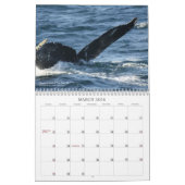 Terre-Neuve en images : Calendrier 2013 (Mar 2026)