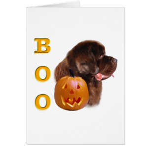 Terre-Neuve (marron) Boo