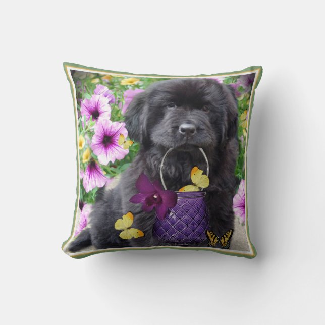 Terre-Neuve un coussin de jour ensoleillé (Recto)