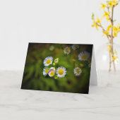 Terre verte, carte (Fleur jaune)