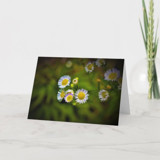 Terre verte, carte (Devant)
