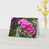 Terre verte, carte (Fleur jaune)