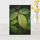 Terre verte, carte (Fleur jaune)