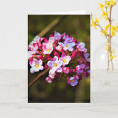 Terre verte, carte (Fleur jaune)