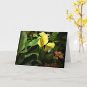 Terre verte, carte (Fleur jaune)