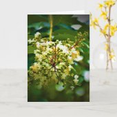 Terre verte, carte (Fleur jaune)