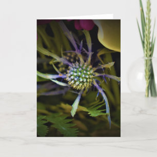 Terre verte, carte