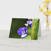 Terre verte, carte (Fleur jaune)