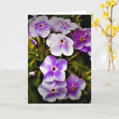 Terre verte, carte (Fleur jaune)