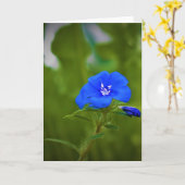 Terre verte, carte (Fleur jaune)