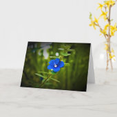 Terre verte, carte (Fleur jaune)