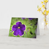 Terre verte, carte (Fleur jaune)