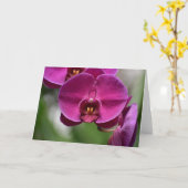 Terre verte, carte (Fleur jaune)