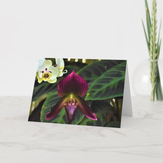 Terre verte, carte (Devant)