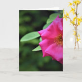 Terre verte, carte (Fleur jaune)