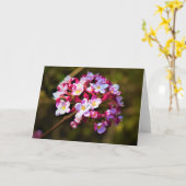 Terre verte, carte (Fleur jaune)
