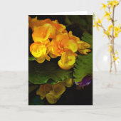Terre verte, carte (Fleur jaune)