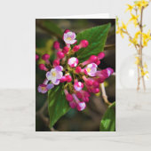 Terre verte, carte (Fleur jaune)