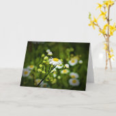 Terre verte, carte (Fleur jaune)