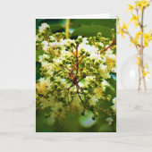 Terre verte, carte (Fleur jaune)