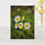 Terre verte, carte (Fleur jaune)