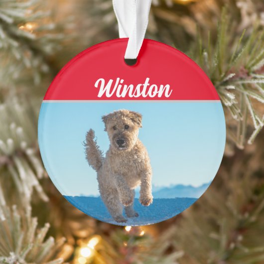 Terrier battu avec le nom et la photo Noël (Arbre)