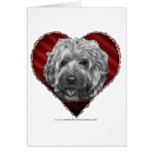 Terrier blond comme les blés Doux-Enduit avec le