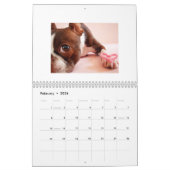 Terrier Calendar 2015 Boston Kalender (Feb 2026)