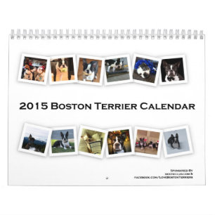 Terrier Calendar 2015 Boston Kalender