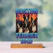 Terrier de Boston (Neutre)