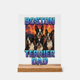 Terrier de Boston