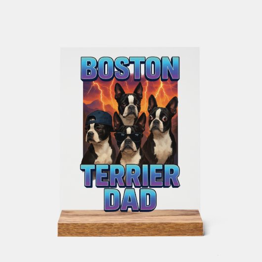 Terrier de Boston (Recto)
