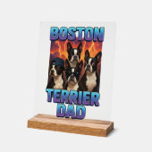 Terrier de Boston (Angle)