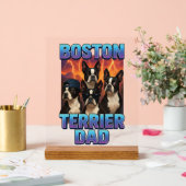 Terrier de Boston (Mariage)