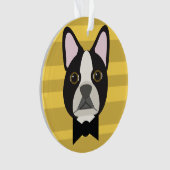 Terrier de Boston (devant)