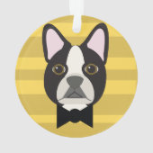 Terrier de Boston (dos)