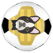 Terrier de Boston (Tourné)