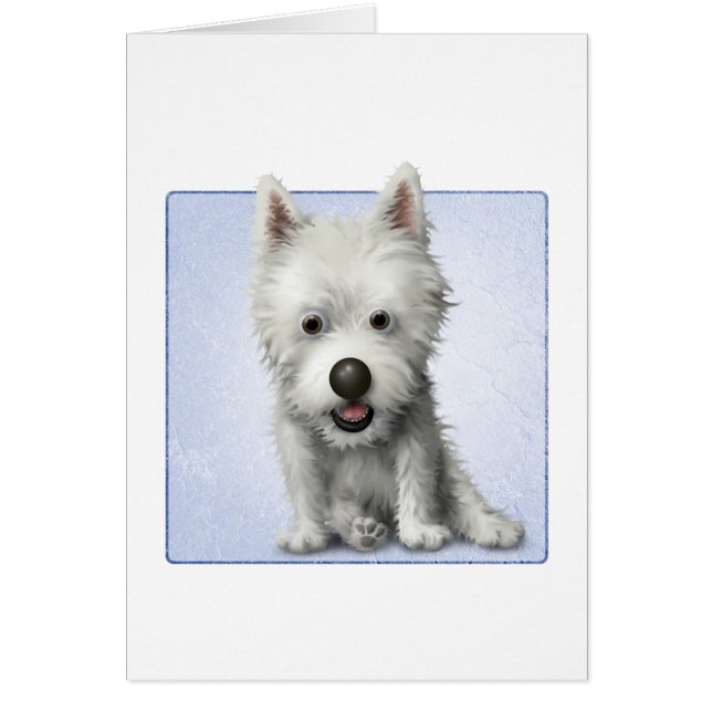 Terrier de West Highland (Devant)