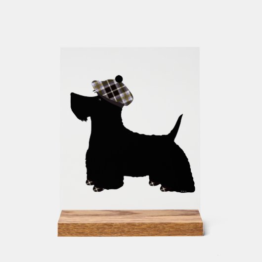 Terrier écossais (Recto)